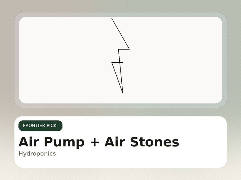 Air Pump + Air Stones